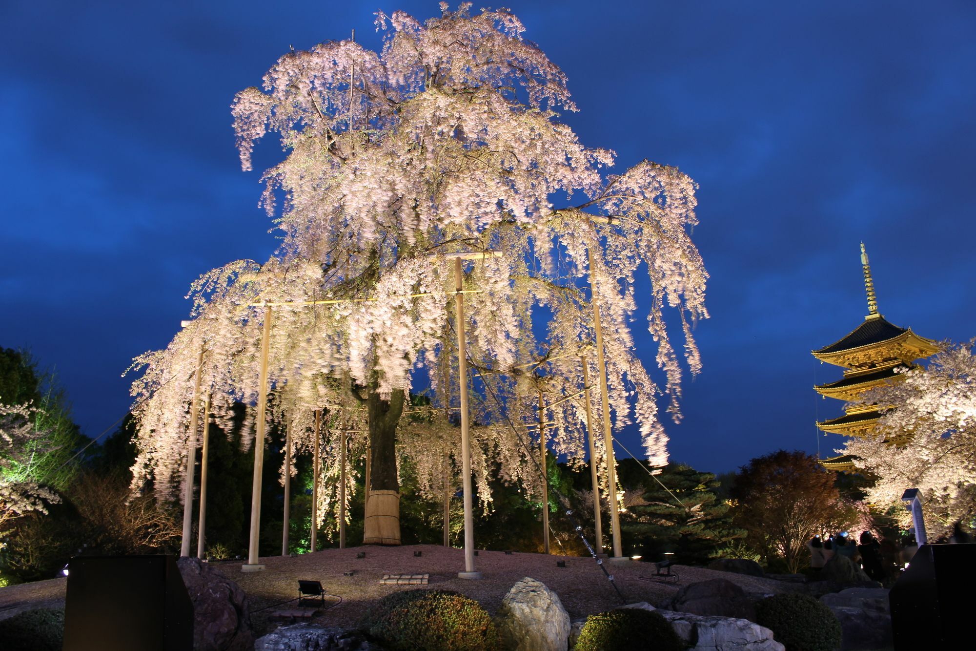 Stay Sakura Kyoto Toji West I Luaran gambar