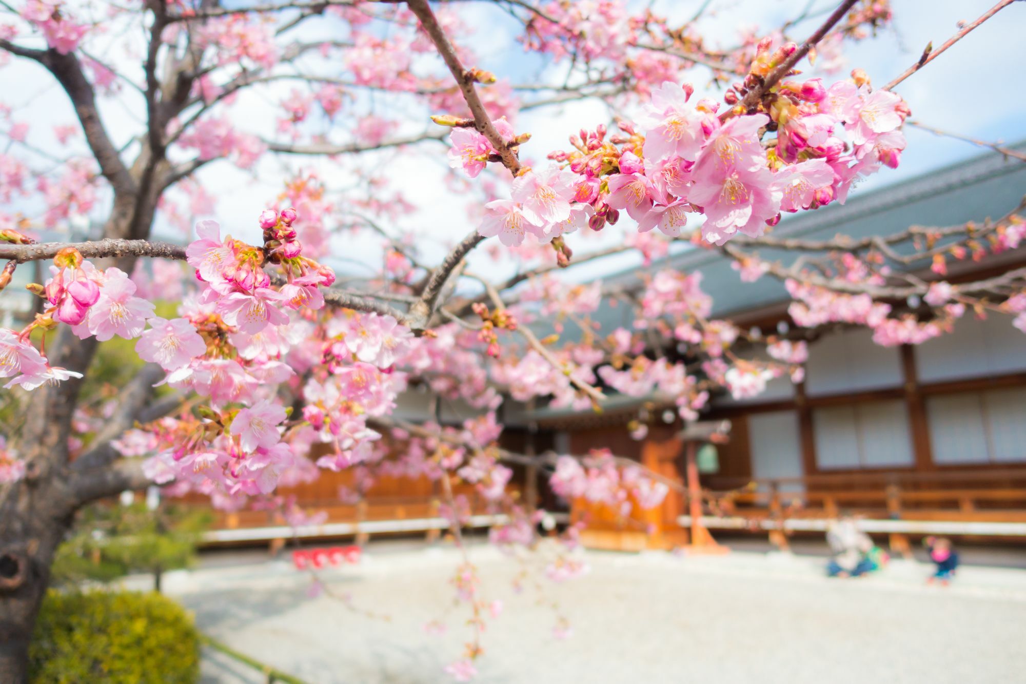 Stay Sakura Kyoto Toji West I Luaran gambar